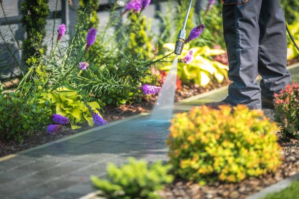 Best Sidewalk and Walkway Pressure Cleaning in Ripon, WI