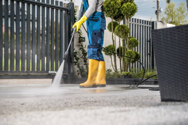 Best Vinyl Siding Pressure Washing in Ripon, WI