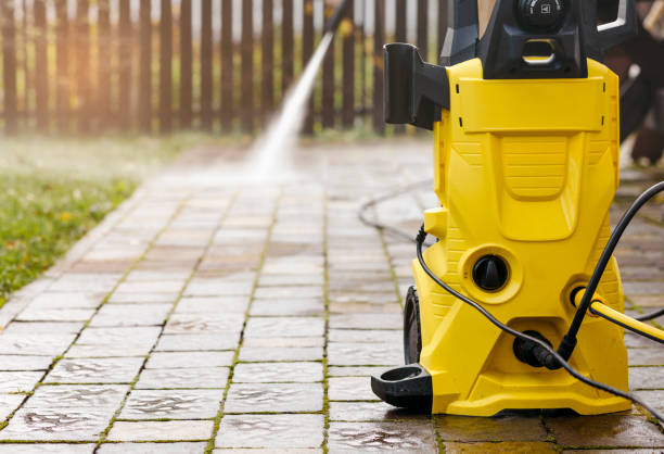 Best Soft Washing for Delicate Surfaces in Ripon, WI